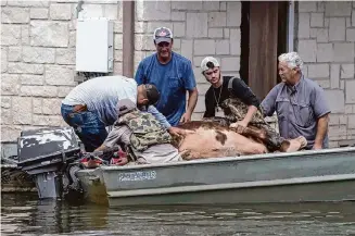  ?? Yi-Chin Lee/Staff file photos ?? Steve Devillier, right, watches family and friends rescue a calf from high water after Tropical Storm Imelda in 2019 in Winnie. Winnie property owners sued the state over the flooding.