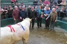  ??  ?? Fatstock champion.( Milltown Mart fatstock Show &amp; Sale James Daly Chairman, Donal Counihan Secretary, Seamus Connor Buyer of Champion Male, Seller Declan Sheehan Glencar, Kenneth Grant Judge and Denis Sheehan Mart Manager.