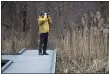  ?? PETE BANNAN - MEDIANEWS GROUP ?? Geoff Veith of Drexel Hill watches two redheaded ducks at the Heinz Wildlife Refuge Friday afternoon.