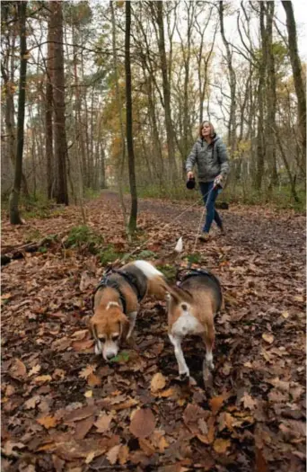  ??  ?? Hondentrai­ner Ellen Van Hoyweghen: zoektocht met snoepjes voor Charlie en Bisou.