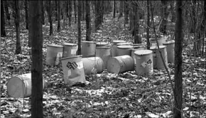  ??  ?? Drugsafval wordt vaak in de natuur gedumpt. (Foto: NOS)