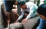  ??  ?? Image made available by the Apsara Authority of the Cambodian Government, archaeolog­ists examine a 1.9meter (6-foot, 3-inch) tall, 58-centimeter (23-inch) wide statue at Angkor Wat in Siem Reap, Cambodia.