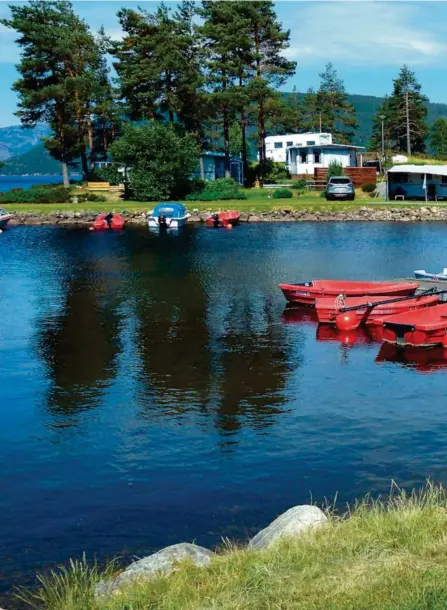  ??  ?? KOSER SEG: Olav Neset lever det gode, men travle liv på Neset camping i Bygland, men om vinteren flyr han rundt på messer «nede» i Europa for å promotere Norge der.