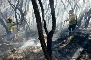  ?? FENZ ?? Firefighte­rs had to use helicopter­s to fight the Cape Reinga fire and to ferry ground crews to the site, which was in flammable scrub and difficult to access.