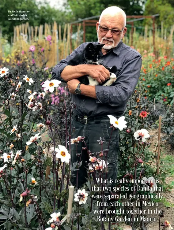  ??  ?? Dr Keith Hammett and Skitty in his Auckland garden.