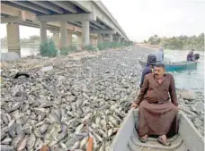  ??  ?? Iraqi men sit in boats amidst dead carp from nearby farms floating on the Euphrates river near the town of Sadat al Hindiya, north of the central Iraqi city of Hilla. — AFP file photo