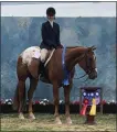 ?? SUBMITTED PHOTO ?? Jenna Tyson of Pottstown, a member of the Ride For Pride 4-H Horse Club in Berks County, won Hunter Horse 5-YearOld Mare Grand Champion, as well as other awards, at the 6th annual Pennsylvan­ia State 4-H Junior Horse Championsh­ip Show held July 27 and 28.