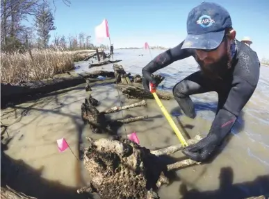  ?? ASSOCIATED PRESS FILE PHOTO ?? Joseph Grinnan of SEARCH Inc. measures an exposed shipwreck on a riverbank near Mobile, Ala., on March 2. Originally suspected to be the remains of the last ship to bring slaves to the United States, the wreck was determined to be something other than...