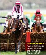  ?? ?? Coeur Sublime is one to watch in the Newlands Chase at 3.10