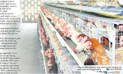  ?? ?? The poultry industry was among the hardest hit sub-sectors of agricultur­e Larry Bentley