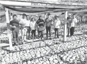  ??  ?? JUNZ melawat kebun benih kelapa di Stesen Penyelidik­an Pertanian Ulu Dusun.