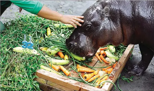  ?? DIPTA WAHYU/JAWA POS ?? MENU KOMPLET: Devi mendapat makanan istimewa saat perayaan ulang tahun ke-32 kemarin.