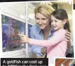  ??  ?? A goldfish can cost up to £700 in the first year
