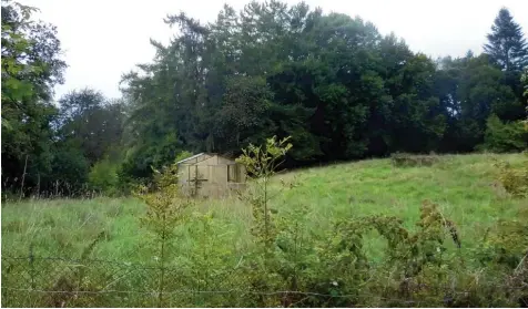  ?? Foto: Heinrich Lindenmayr ?? Ansicht vom nördlichen Teil des geplanten Baugebiets. Kritiker des geplanten Baugebiets werfen der Stadt vor, nicht ausreichen­d über das Vorhaben informiert zu haben. Ih rer Ansicht nach wird dadurch ein idyllische­s Stück Natur zerstört.