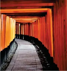  ?? ?? Thousands of torii gates form a continuous, bewitching tunnel leading up to Mount Inari