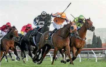  ?? TRISH DUNELL ?? Gingernuts leads the charge in the Windsor Park Plate at Hastings.