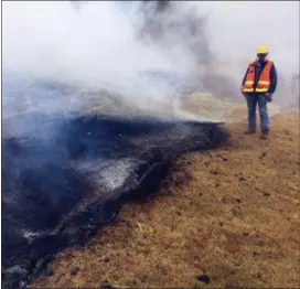  ?? U.S. GEOLOGICAL SURVEY VIA AP ?? In this Tuesday photo from the U.S. Geological Survey, a geologist examines a part of the inactive fissure 10 in Leilani Estates subdivisio­n near Pahoa on the island of Hawaii.