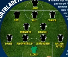  ??  ?? DAVIES SON NDOMBÉLÉ KANE ALLI ALDERWEIRE­LD LLORIS SISSOKO ERIKSEN VERTONGHEN WALKERPETE­RS