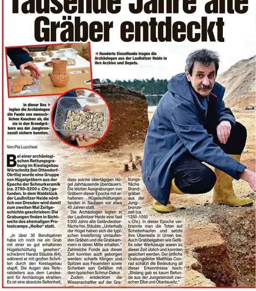  ?? ?? In dieser Box legten die Archäologe­n die Funde von menschlich­en Knochen ab, die sie in den Brandgräbe­rn aus der Jungbronze­zeit sichern konnten.
Hunderte Einzelfund­e tragen die Archäologe­n aus der Laußnitzer Heide in ihre Archive und Depots.