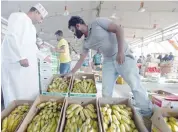  ?? MOHAMMED MAHJOUB ?? An Omani man chooses bananas at Al Mawaleh Vegetables and Fruits Market in Muscat. PICTURE BY