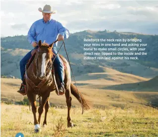  ??  ?? Reinforce the neck rein by bridging your reins in one hand and asking your horse to make small circles, with your direct rein tipped to the inside and the indirect rein laid against his neck.