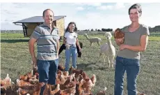  ?? RP-FOTO: KNAPPE ?? Georg (v.l.), Stefanie und Anita Roosen inmitten ihrer Hühnerscha­r, die von vier aufmerksam­en Alpakas bewacht wird.