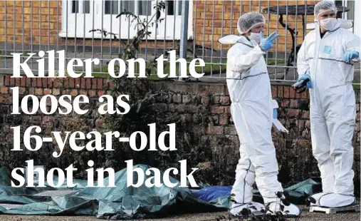  ??  ?? HUNT FOR CLUES: Forensic teams examine the scene where Lewis Dunne was found with a serious gunshot wound to his back last night