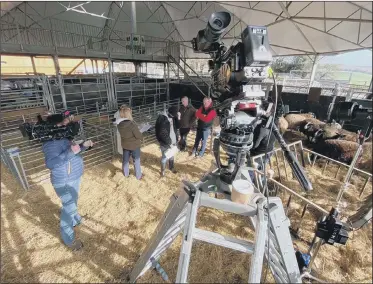  ?? CHALLENGIN­G TIMES: PICTURES: DAISYBECK STUDIOS ?? Filming taking place at Cannon Hall Farm, near Cawthorne in South Yorkshire.