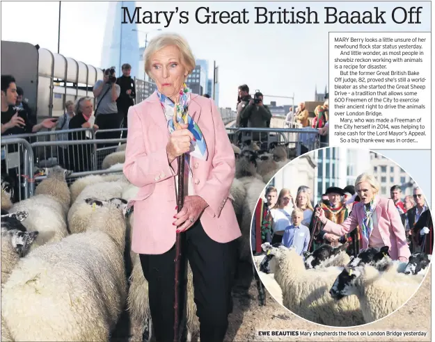  ??  ?? EWE BEAUTIES Mary shepherds the flock on London Bridge yesterday