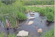  ?? CHELSEY LEWIS/MILWAUKEE JOURNAL SENTINEL ?? The Ice Age Trail crosses a creek in Straight Lake State Park, one of Wisconsin's newest state parks.