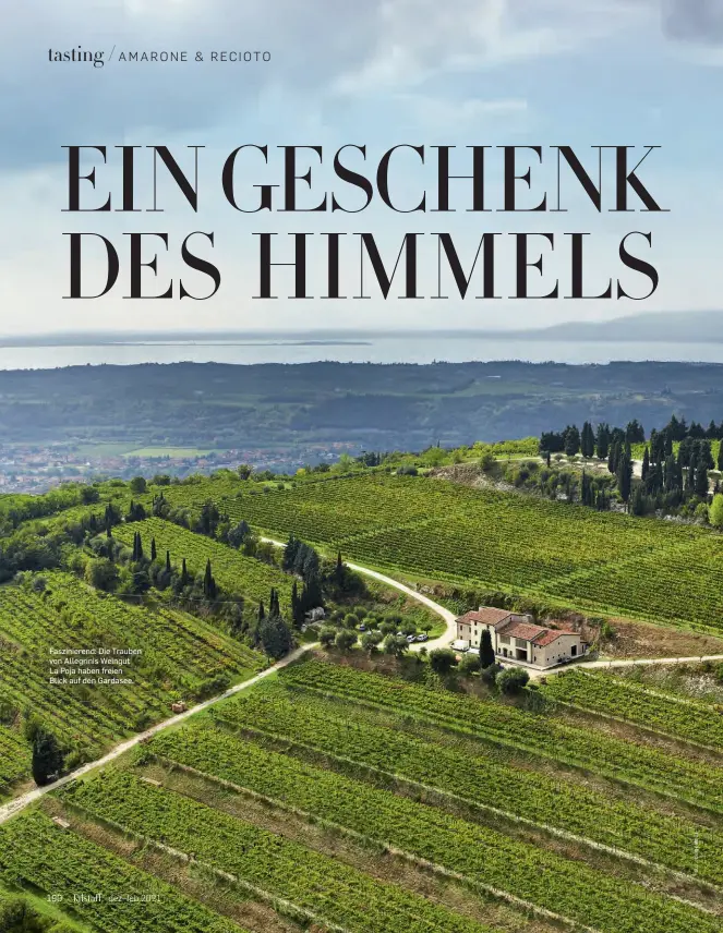  ??  ?? Fasziniere­nd: Die Trauben von Allegrinis Weingut La Poja haben freien
Blick auf den Gardasee.