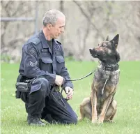  ?? RICHARD LAUTENS/TORONTO STAR ?? Sgt. Derrick Gaudet, of Police Dog Services, with his partner, Major, who’s trained to hunt for cadavers as well as other duties.