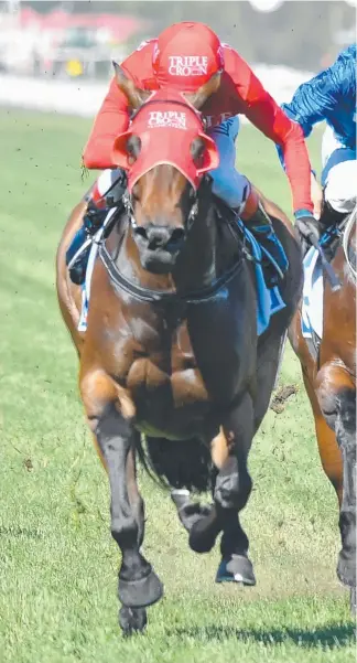  ?? Picture: GETTY IMAGES ?? The flying Redzel wins the Darley Classic at Flemington in the spring.