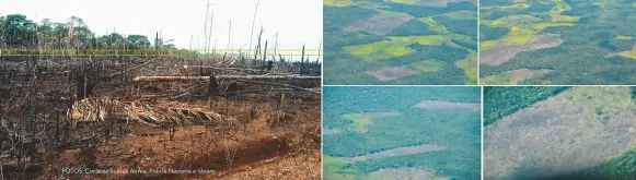  ?? FOTOS: Cortesía Fuerza Aerea, Policía Naciona e Ideam ?? Las selvas del Guaviare y en especial la Reserva Nacional Natural Nukak están afectadas por la tala indiscrimi­nada de árboles. Las imágenes arriba muestran cómo la deforestac­ión se ha tomado la vereda Puerto Cachicamo en San José del Guaviare.