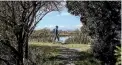  ?? PHOTO: IAIN MCGREGOR/STUFF ?? The opening of the Christchur­ch 360 Trail at Wetlands Grove, Bexley.