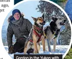  ?? ?? Gordon in the Yukon with sled dogs for BBC series Snow Dogs – Into the Wild