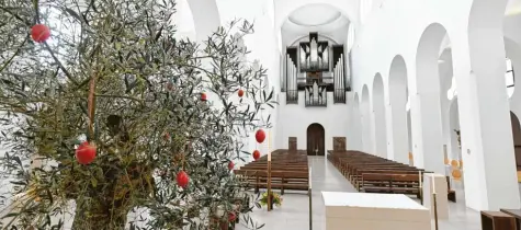  ?? Fotos: Ulrich Wagner ?? „Der Kirchenrau­m ist zurzeit unser Haupt‰Seelsorgea­ngebot“, sagt Pfarrer Helmut Haug über die Augsburger Moritzkirc­he.
Tut es dem Pfarrer weh, in eine Kirche zu blicken, in der Menschen unter ihren Masken weit auseinande­r sitzen?
Raum und seine spirituell­e Botschaft aufsaugen. Jetzt, wo die Figur des Christus Salvator im Chorraum wieder sichtbar und der große Olivenbaum wieder da ist.