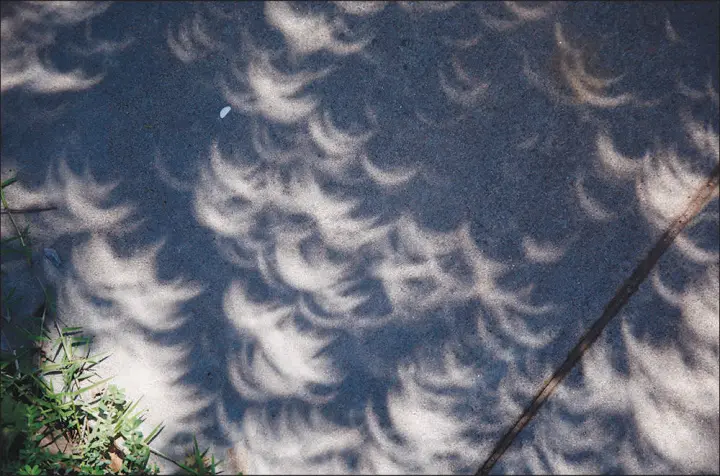  ?? SUE OGROCKI / ASSOCIATED PRESS FILE (2017) ?? Images of the crescent shaped sun are projected on a sidewalk as light passes through the leaves of a tree during a 2017 partial solar eclipse in Oklahoma City. For those who want to view this year’s eclipse April 8, keeping an eye on the weather forecast will be key.