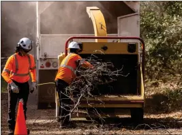  ?? ?? PG&E crew members loading dead tree limbs in chipper in the Cobb area in south County.