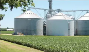  ?? — AFP ?? Illinois is the top producer of soybeans in the US. Some 43,000 farmers grow the crop in this state.