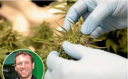  ??  ?? Kiwis have pledged more than $2.4 million to medicinal cannabis startup Puro. Puro managing director Tim Aldridge, inset, says public backing is a vote of confidence for the company.