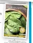  ??  ?? Darren wins a £25 voucher from Mr Fothergill’s for use in its mailorder catalogue. It’s packed with a huge choice of quality seeds and exciting flower, fruit and veg plants.