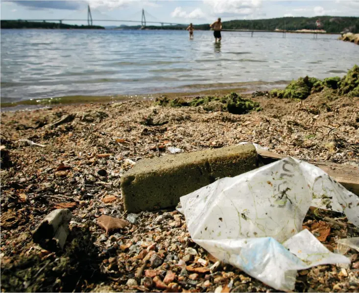  ??  ?? Nedskräpni­ngen av plast på land får också konsekvens­er för havet, enligt Eva Blidberg, sakkunnig inom marin nedskräpni­ng hos miljöorgan­isationen Håll Sverige rent.