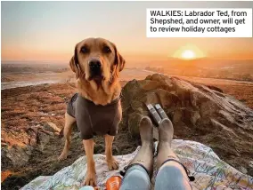  ?? ?? WALKIES: Labrador Ted, from Shepshed, and owner, will get to review holiday cottages