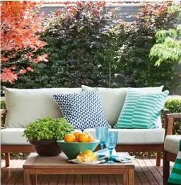  ??  ?? SIT BACK & RELAX Along the fence line, European beech saplings and a Chilean myrtle evergreen hedge are pruned to form an appealing backdrop. Timber outdoor furniture (for similar, try the Mimosa ‘Avani’ range at Bunnings) provides a relaxed spot for...