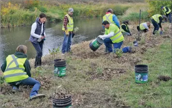  ??  ?? Volunteers plant indigenous trees and shrubs at a Swift Current Creek Watershed Stewards site on Connaught Drive, Sept. 21.