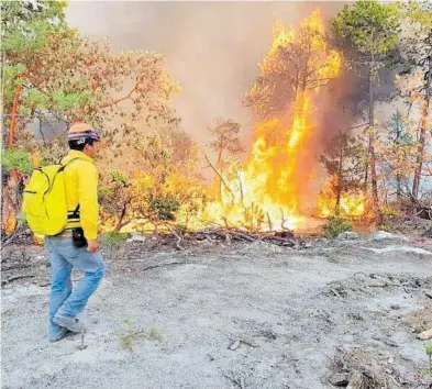  ?? ARCHIVO EL HERALDO DE CHIHUAHUA ?? Guadalupe y Calvo encabeza la lista con 244 incendios