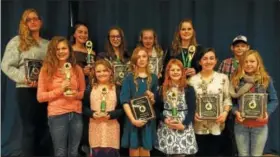  ?? SUBMITTED PHOTO ?? 2017 Outstandin­g Berks County 4-H Horse Member Awards. Front Row, left to right: Caitlin Diffendal, Lindsay Diffendal, Gwyneth Youells, Ashlynn Scheirer, Daphne Smith, and Tyerney Lewis. Back Row, left to right: Merdena Twaddell, Jenna Tyson, Grace...