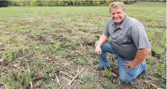  ?? MIKE HENSEN ?? Rick Tusch of Delaware hopes to turn small fields into a regional network of wildflower­s that will provide “pollen pathways” for the dwindling bee population and other endangered pollinator­s.