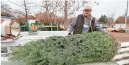  ?? NATHAN J. FISH/THE OKLAHOMAN FILE ?? Joshua Grizzell bags a tree at Sorghum Mill Christmas Tree and Blackberry Farm in Edmond.